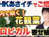 あさイチ 動画 2025年4月11日 250411