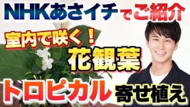 あさイチ 動画 2025年4月11日 250411