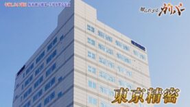 知られざるガリバー 動画 2025年4月12日 250412