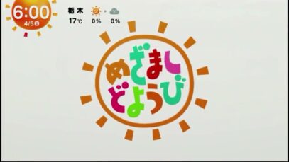 めざましどようび 動画 2025年4月12日 250412