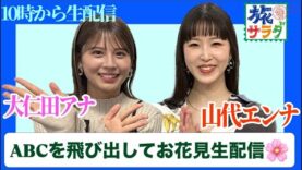 朝だ！生です旅サラダ 動画 2025年4月12日 250412