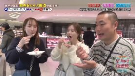 なりゆき街道旅 動画 2025年4月13日 250413