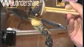 所さんの目がテン! 動画 2025年4月13日 250413