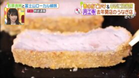 ヒルナンデス! 動画 2025年4月17日 250417