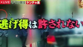 実録！金の事件簿 動画 2025年4月3日 250403