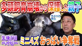 坂上どうぶつ王国 動画 2025年4月4日 250404