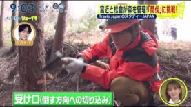 シューイチ 動画 2025年4月5日 250405