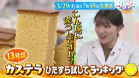 サタデープラス 動画 2025年4月5日 250405