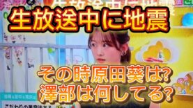 ぽかぽか 動画 2025年4月7日 250407