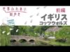 世界ふれあい街歩き 動画 2025年4月8日 250408