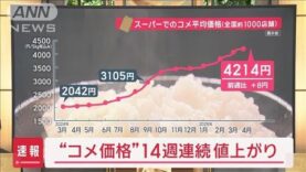 スーパーJチャンネル 動画 2025年4月14日 250414