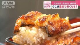 スーパーJチャンネル 動画 2025年4月3日 250403