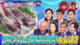 ホンマでっか！？TV 動画 2025年4月2日 250402