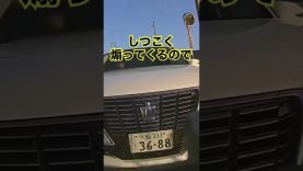 真空レンズ 動画 2025年11月13日 251113