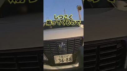 真空レンズ 動画 2025年11月13日 251113