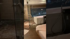 おとな時間研究所 動画 2025年11月14日 251114