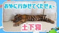 嗚呼!!みんなの動物園 動画 2025年11月15日 251115